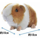 fffffffffffff6ffe00fc007c007c003e003f003f803f83ffffffff3ffffffff