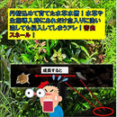 00005ff95a5f283306ca17ff12234e9365ac000003d010403f3f4f8033085384