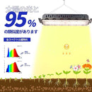 ffefffffdffff700d1ffffffffff83fffff7dfffefffffffcffeff9f00000000