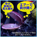 b07f78fffdfefcff78ff3e1b8f9190a000000010be00ff807e80000001009259