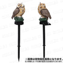 fffffbcff9cff1c7f3e7f1c7f3e7fbeffbeffbeffbeffbeffbeffbeffbefff05