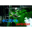 0000000c1de002c0006806200700008006008065b007b587bd878857002f0007