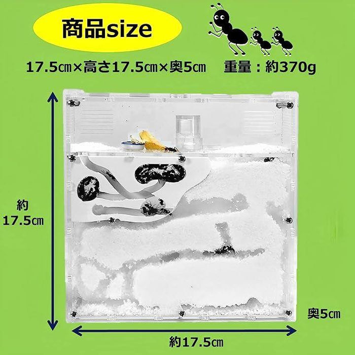 中国　花入　台座付き　箱アリ 71dJqzApGdL._UF350,350_QL80_.jpg
