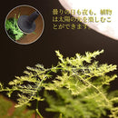 00ff007f003f100d700704010000008e00f8004b0c6e3c6b65bc004f183f05f7