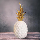 4c00ff007f00ffc0ff80ff007e007f207f607fe01fe007e003f01febdbe2ffcee4f0cea4f0f218a0bcf11ab39ace06b3