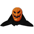 fffffe3ffc3ffc3ffc1ffc1ff81ff81ff00ff00fe007c003800380010cc0fffd