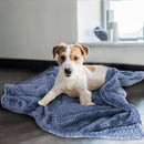 7fff7fff7fff7fff7fef3fff3dff01c301f005f00f40042000010001002c00df