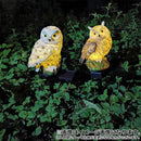 000000000000023007ba0f7c1eb8ae382e009c000db3012c4a1adb910030a0aa