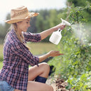 fff0fff8ff08f808c81a28470ba7246bc7c1cbd021008080a3a18209006257dd