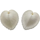 ffffffffffffffffffff81878081800180018101c183e387ffffffffffffffff