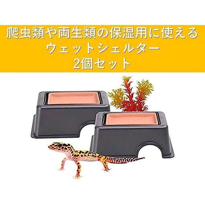 アイシェルター　限定品　２個　未使用保管品　爬虫類シェルター シェルター 爬虫類 2個セット 洞窟 ハイドロボックス 保湿シェルター