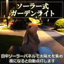 2000208020981884508010e9d1e1e0ccfe3f063f003c003f003f003f6f3f042a