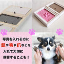 fffffffdfff8fe420f330397e5cffbffffffffffdacbfb82ff85bf9c8efcffa0