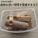 ffffafff99f3fffffffbfffffffff67fe403e380c0508002b005701bc003e002