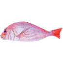 ffffffffffffffffffffe07f801c80010001001fffffffffffffffffffffffff