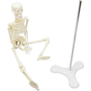 ffffe7fde7fdf3ffe3ffc3ffefffe67be7fbeffffe7ff7fdf7c3fbf3fdfbfefb