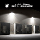 0000000010000000000004007fc07fe47fff3fff067f0754060406043fff7ffc