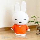 fffffffffffffffffffffffffffffff9f7d6e37ee080800000100000c1e08000