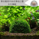 fffffffff7fdc040ef0dc37b3040f24871256c3004000800080000000e9e0000