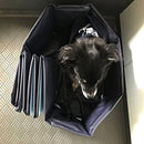 000100030003e063e063e023e007e003f003d003d043d803f813fc33ffb3fffb