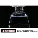 ffff030000400000010001000410000000000000080803f80800080081ffbfff