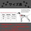 00000000000000000000fffbffffffdfffffffffffefffff0000000000000000