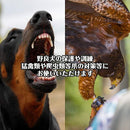 ff1fff00f300f30083010305018107f017f006c001cf03cf0377037f017f01ff