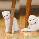 00e3f0e7f900f900000038003800380e3a8f338f7b2f7beff7fff4eeffffffff