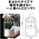 ffffe077f00ff037fbffffff10ff00ff00ff00ff00ff07ff22ff20ff20ff01ff