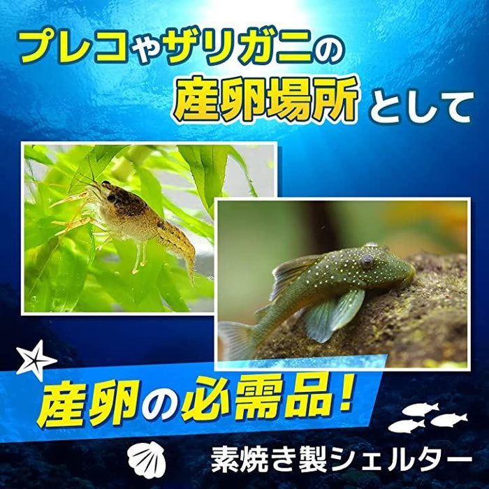 ファビュラス堂 産卵 シェルター 筒 熱帯魚 わずらわしい アクアリウム 陶器 隠れ家 土管 洞窟 水槽 装飾 飾り 魚