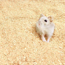 ce3da2e9739c2b8ec3dcbfabf3a1143faa0fb7c0f77c7ccf4c757fff82e5e020