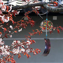 dfff7e05b06e1808c000f008001090060c008180fff78d4321f71757cdf7bfff