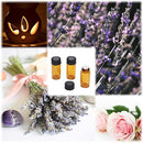 01000000000000800000ffe0ffe0bde0ffa0eee0e7e1f07fa07b10ffffffffff