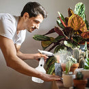 fffef8fff0fbe1fc72e173c17fa07e007f18af129ffd08180520018402600000