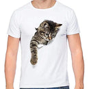 f83ffc7fffffff3ffe0ffc1fa801883199f999f919f819f83ffc3ffc3ffc2004