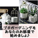 ffe0ffd8fffc009ac000000070c0760cf408400070ff407d57dfc007f5ffffff