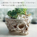 fffffffffffffffffe2ff417c005f08f40378478e038e007f08f00070037000f