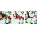 ffffffffffffffffffe082d49af78c6784268003818ff3dafbcae30effffffff