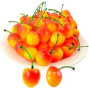 ffffffffff7ffe4ff807f007e003e003e003e003f007fc3ff89ff89ff99fffff