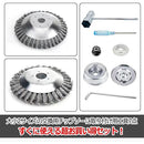 ffffffffe3dfc0dfcae6e1ffffedffffedc9cfc9ec7fc1fcf3ffffff2a3f16a4