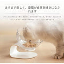 ffffffffffffffffffffffffffdf1980000000000400003810201f8001000000