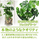 c3e9ffa07f8142814280662063006705638b631aeb99ffffafc6ffffef7ea767