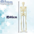 ffffa3bfffefffe7ffc71fc73fef3fc778471fc70fc71dc78fcf9fdfffd73fc7