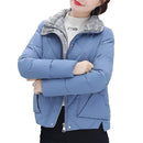 ff0ffe0ff99ff10ff007e00fc00fc04fc00ff00ff00ff00ff00ff00ff00ff00f