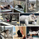 ff2ebbe2ca4a0e0ef0838004807ec0ffc03df3333fff7fa006e01e2f7e405f0f